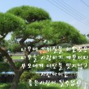 예쁜 이미지 좋은 글 모음 이미지