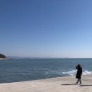 충남 보령｜원산도 오천농협 하나로마트(로컬푸드),보령 해저터널