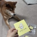 멍멍디저트 이미지