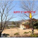 청조원2 이미지