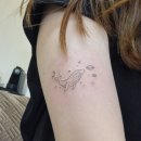 바름플러스 | 피코플러스 문신 제거 후기 | 가격, 통증, 횟수, 토닝