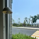 레이지 데이 이미지