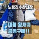 원당감자탕 당산점 | 노량진수산시장 황새치 가격 맛?