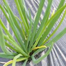 (주)삼동 이미지