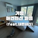 26140-1-2 | [가평] 고양이랑 가평여행 '가평 애견 펜션 퍼플'에서 특별한 추억 만들기 (feat. 내돈내산)