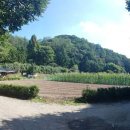 한터농원영농조합 이미지