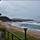 속초해변(중문) 이미지