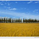 죽동마을 이미지