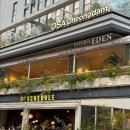 에덴장식 | 청담 오스테리아 에덴 방문 후기｜이탈리안 레스토랑 메뉴·분위기 총정리