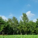 발현목장 이미지