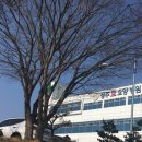 석교농장 네이버블로그