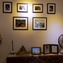 김광석 스토리하우스 이미지