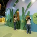 경기북부어린이박물관 이미지