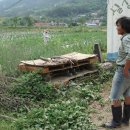 논일농장 이미지