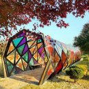 내장산 단풍생태공원 이미지