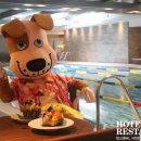 알로하도그 이미지