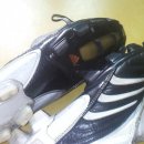 엡솔루트 이미지