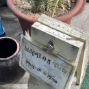동삼동 중국집 정통관 부산 택슐랭 리스트 맛집 후기
