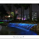 평촌중앙공원 이미지