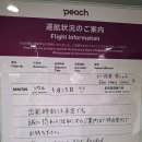 묵안천 | 아이랑 오사카_어서와, 비행기 결항은 처음이지? (+결항시 대처법)