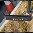 최루백로 이미지