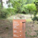 선묘풍경 | [세계유산] 「천년의 시간을 품은 영주 부석사｜국보 무량수전부터 안양루까지, 천년고찰 여행」