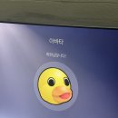 러빗 | 성수 입술 타투 추천 러빗서울 :: 입술 반영구 문신 일주일 탈각 후기