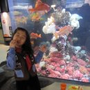 돌고래와펭귄 이미지