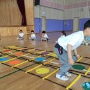 세성초교 병설유치원 이미지