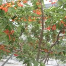 김영종농장 이미지