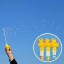 아이비스 이미지