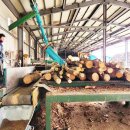 함양톱밥 이미지