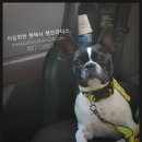 현아로또복권방 네이버블로그