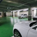 미용하는 강아지 살롱 이미지