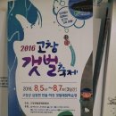 2016년 고창갯벌축제 이미지