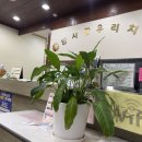 상록우리치과의원 네이버블로그