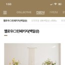 스튜디오콜렉티브 이미지