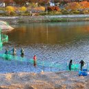 오십천둔치 이미지