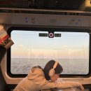 The<밥카페>Bab''''''''s(더밥스) | ep.3 겨울 체코 프라하 여행/프라하 연말여행/동유럽여행