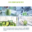세기스템셀 네이버블로그