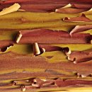 하늘마음한의원 이미지