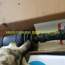 달구지카센타 이미지