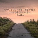 12월13일 제49차 고산골 공룡공원 힐링 야산 이미지