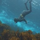 마지막해녀 이미지