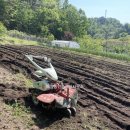 배들공인중개사사무소 이미지