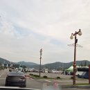 늦은 김밥축제 후기 2025년 김천 김밥축제