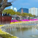 양지천1 이미지