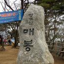 터미날6 이미지