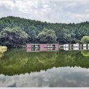 회암소류지 이미지