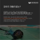 더블유동물의료센터 이미지